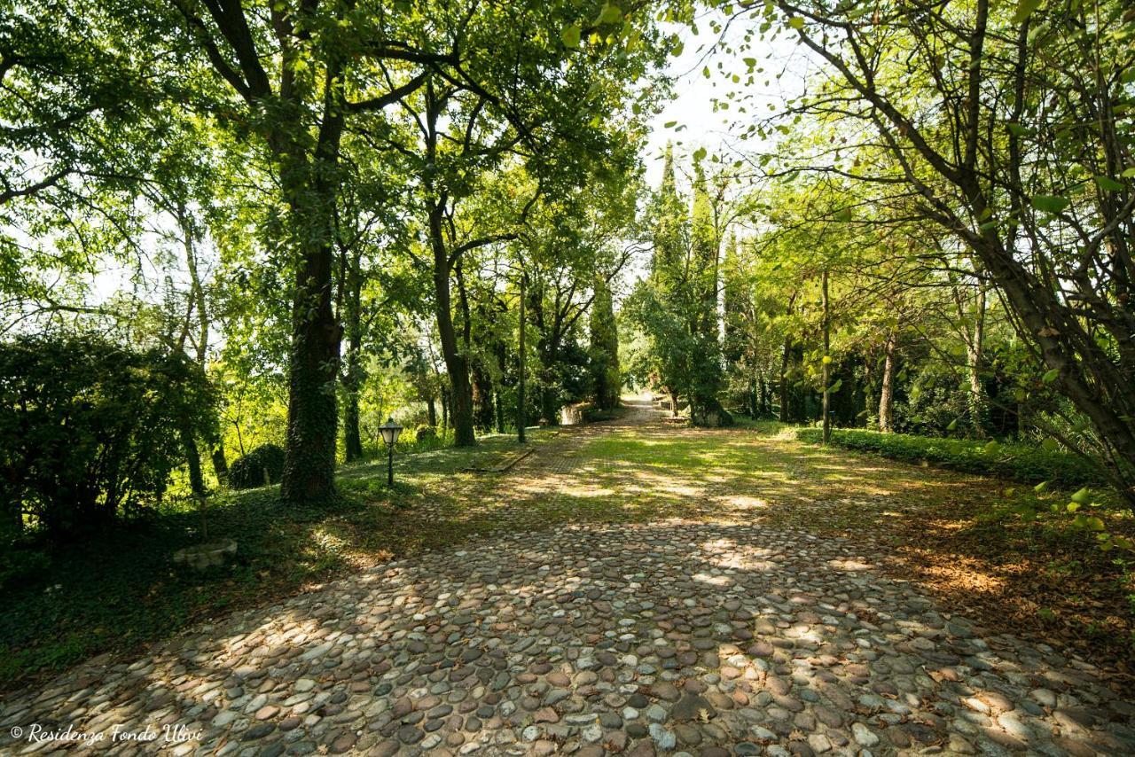 Residenza Fondo Ulivi Villa Ponti sul Mincio Exterior foto